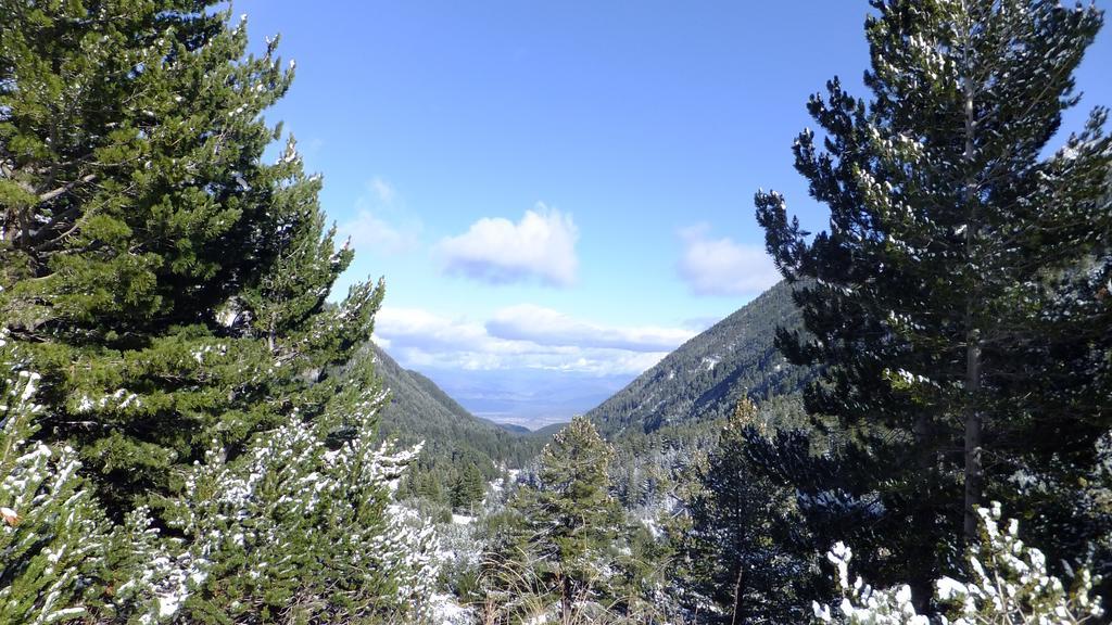 Bansko Prespa Ski Penthouse Rom bilde