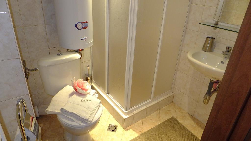 Bansko Prespa Ski Penthouse Rom bilde